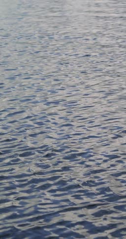 Water with waves and ripples with light reflecting off of it