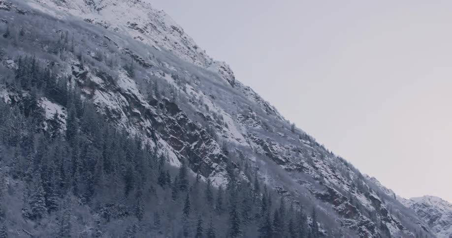 View of high snowy mountain with forest