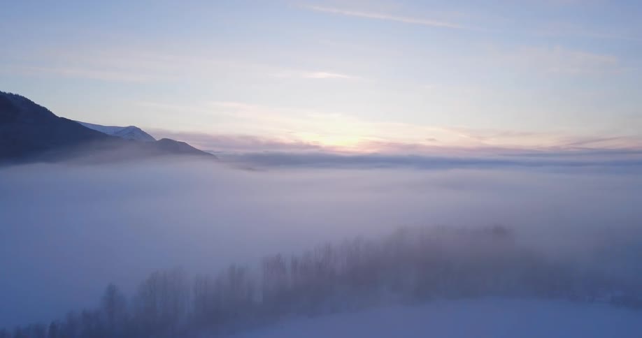 Clouds settle down just over the top of a forest on a mountain