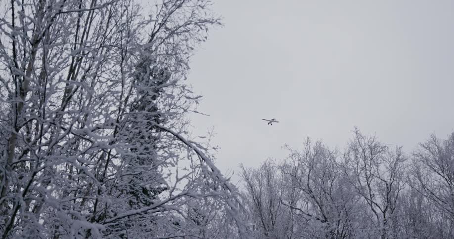 An airplane flies over a forest with trees covered in frost
