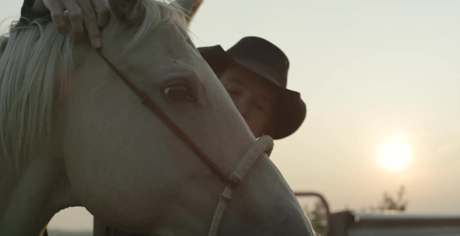 A man is petting his horse