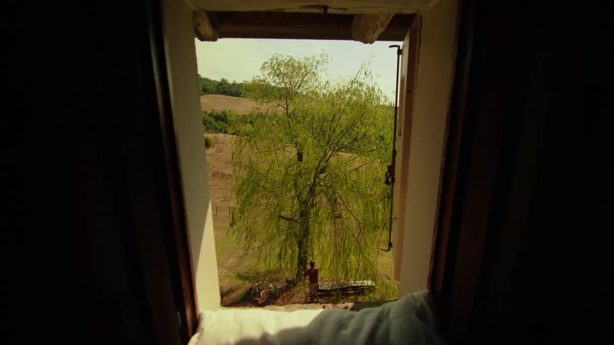 An upstairs window in a home provides a birds eye view of a man using a ladder to climb a tree