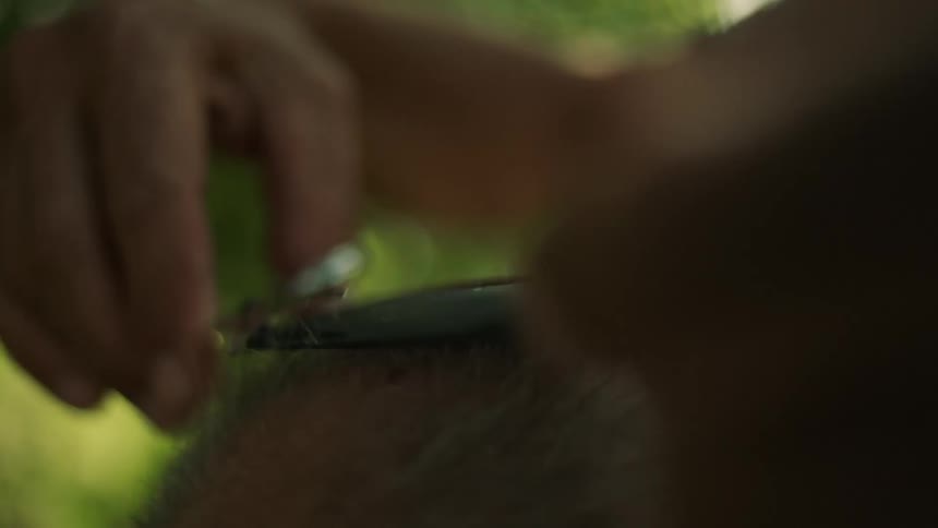 Man with green shirt cuts mans hair using scissors and comb in the garden