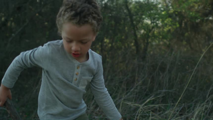A young boy picks up a branch in a forest