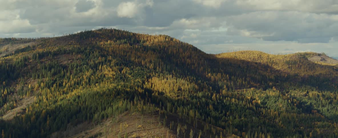 Forested mountains in the fall