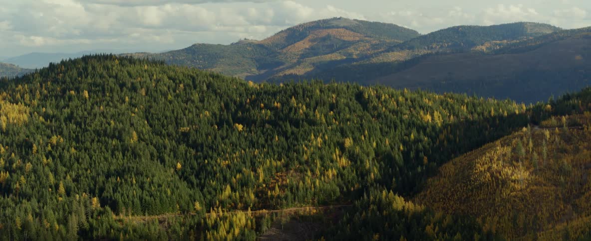 Tree-covered mountaintops in the fall