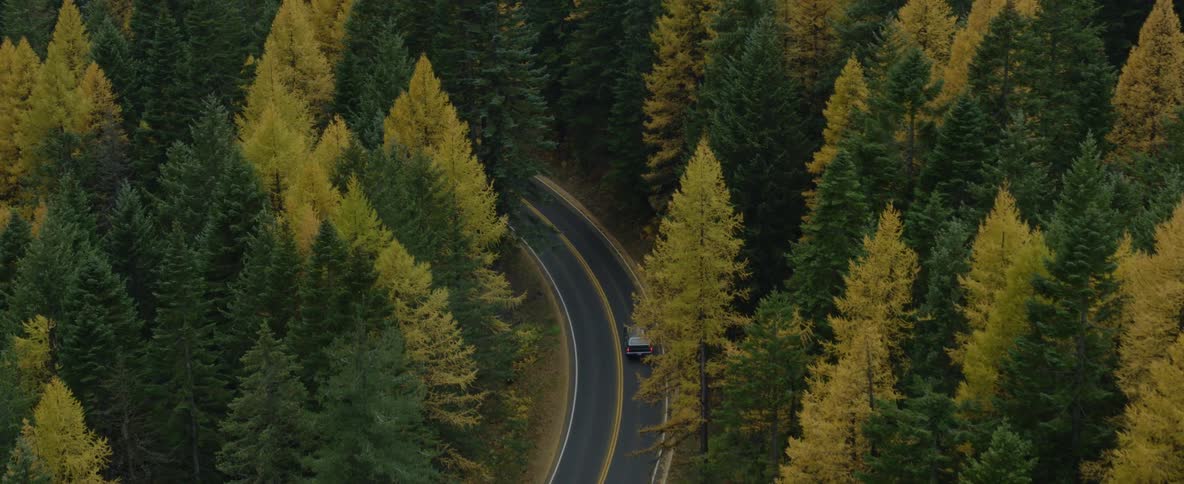 Aerial view of car driving through forest of changing colors