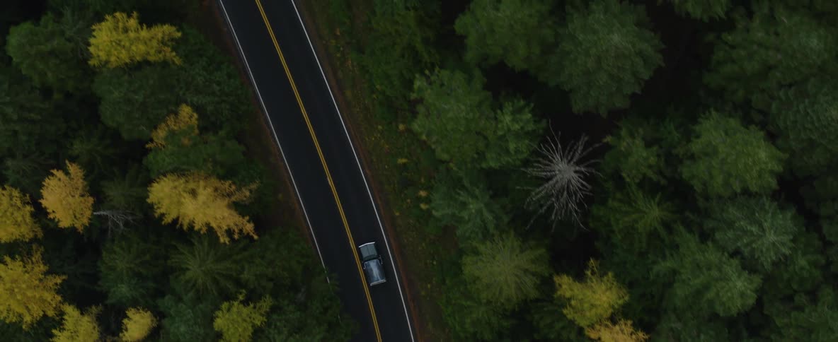 Vehicle travels along winding road through forest