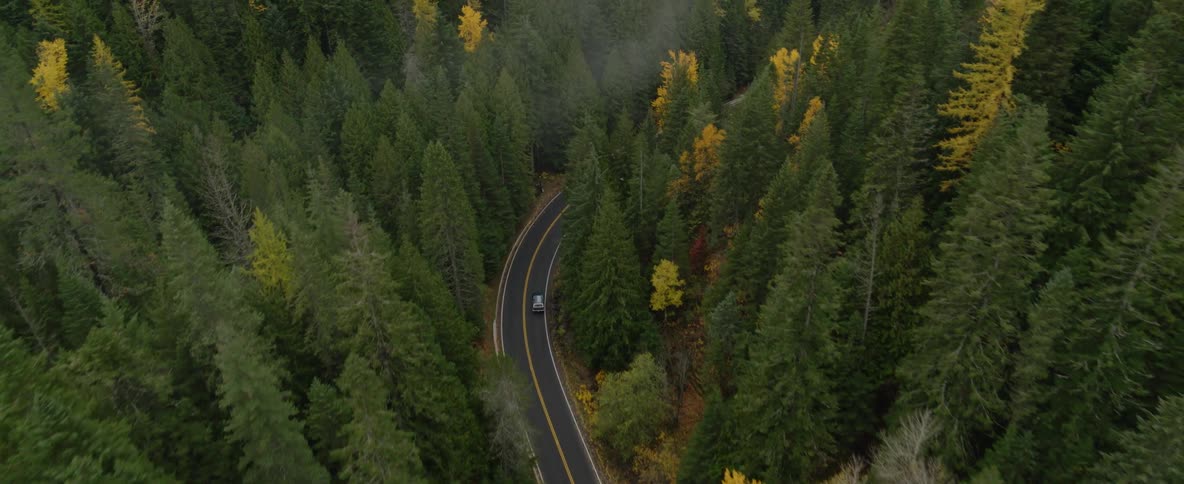 Aerial view of an automobile traveling on a road through a forest of trees changing into fall colors