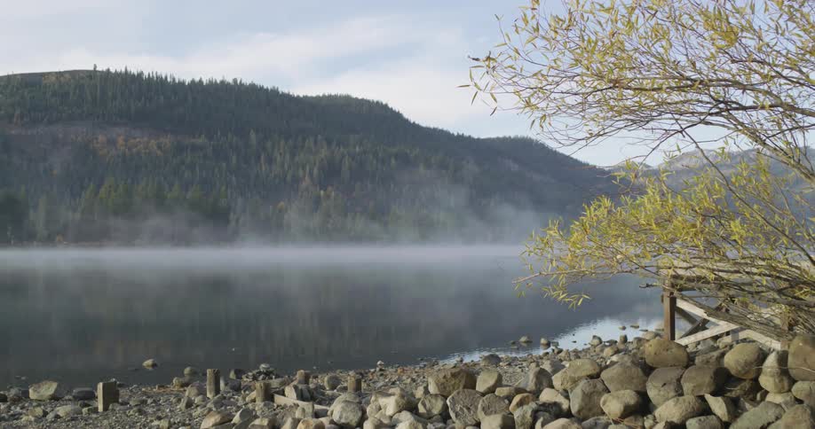 Fog rises from a pond