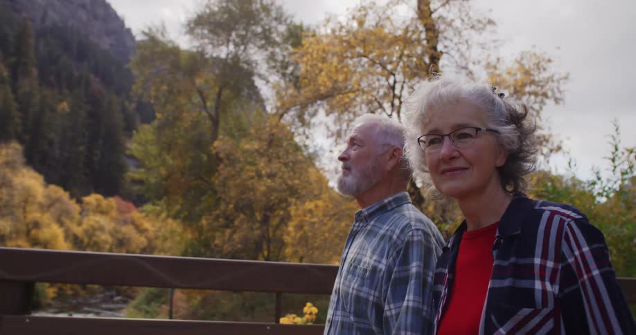 A couple look up at trees while walking down a bridge in the woods