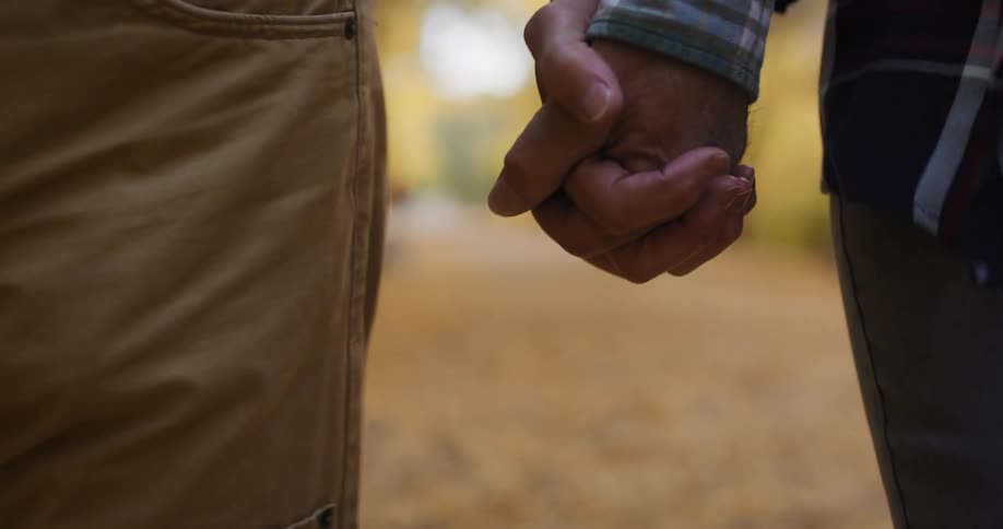 Elderly man and woman with brown pants and tartan shirts holding hands walk in autumn forest