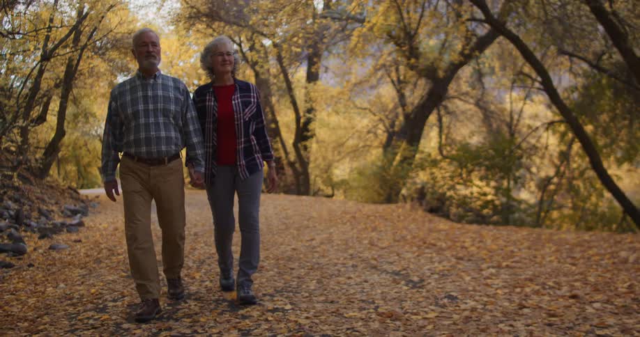 Elderly couple holding hands walk on a path through the trees on a park at morning