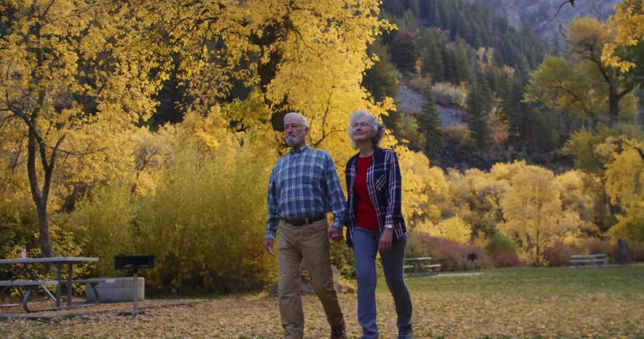 An elderly couple holds hands as they walk through a park with yellow leaves on the ground