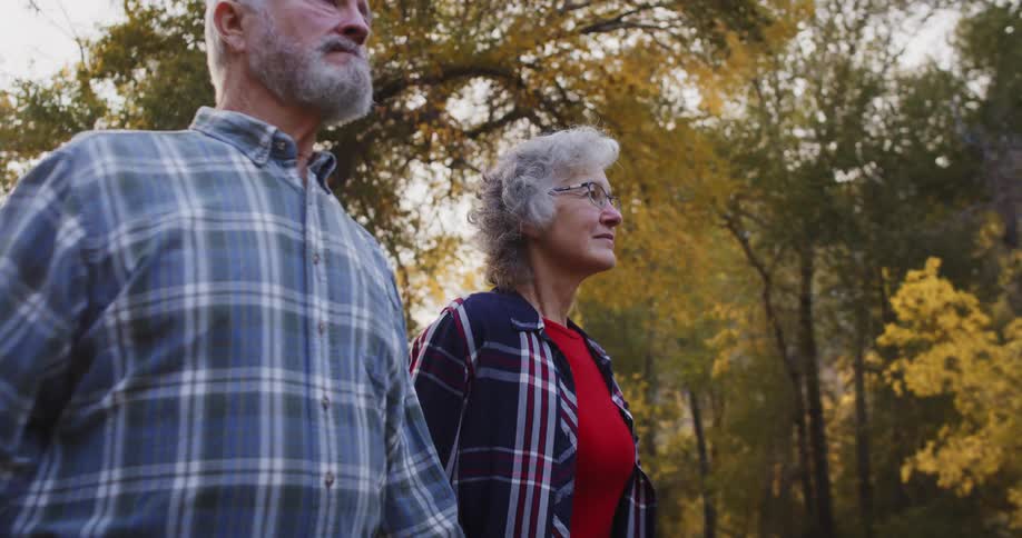 An elderly man and woman hold hands as they walk through a forest filled with fall trees