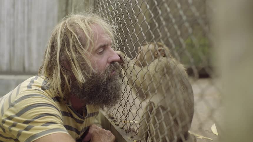 A man lets a monkey pick at his beard through a fence