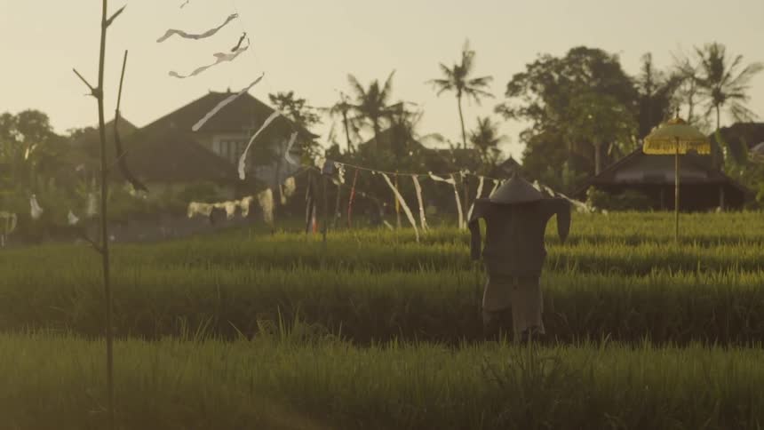 A grass field with a scarecrow at sunset
