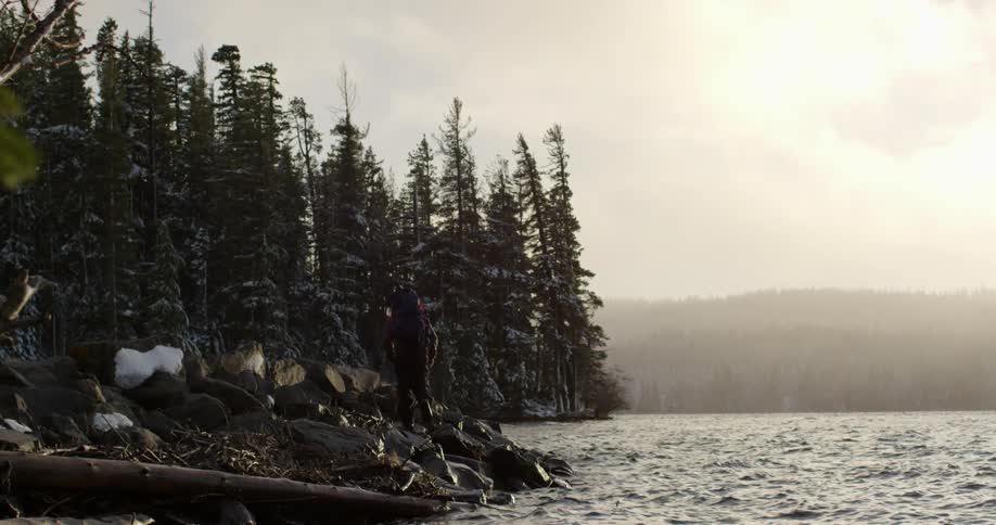 Person hikes along a lakeshore with pine trees in the background