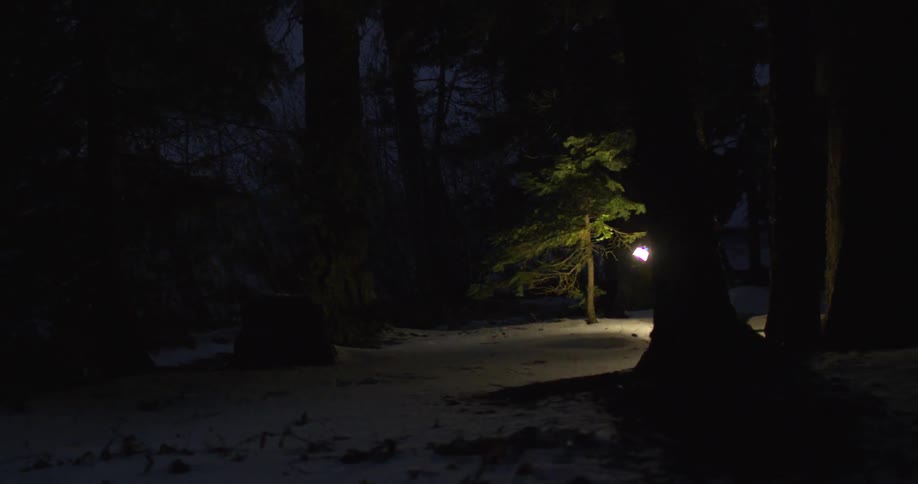 A man walks through a snowy forest carrying a flashlight