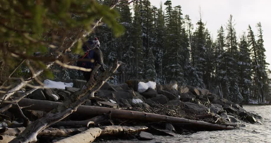 People Camping In The Woods