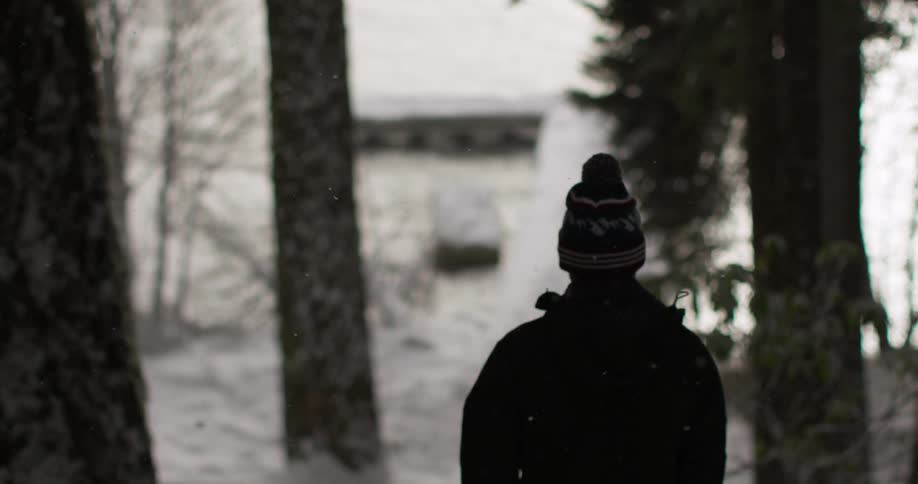 Person walks between trees on a snowy day
