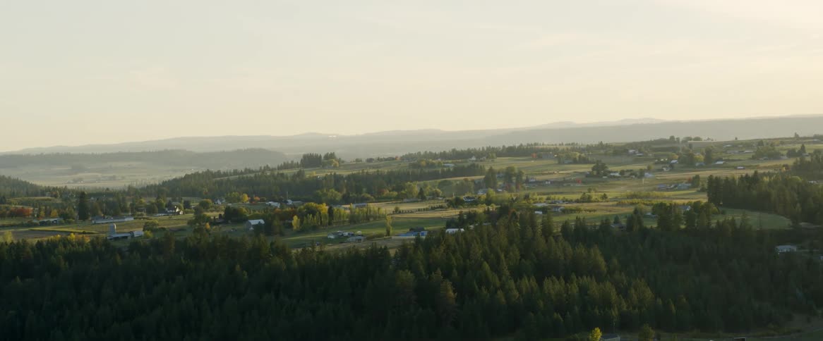 Aerial of forest to countryside