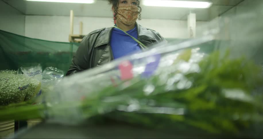 A woman shopping for flowers