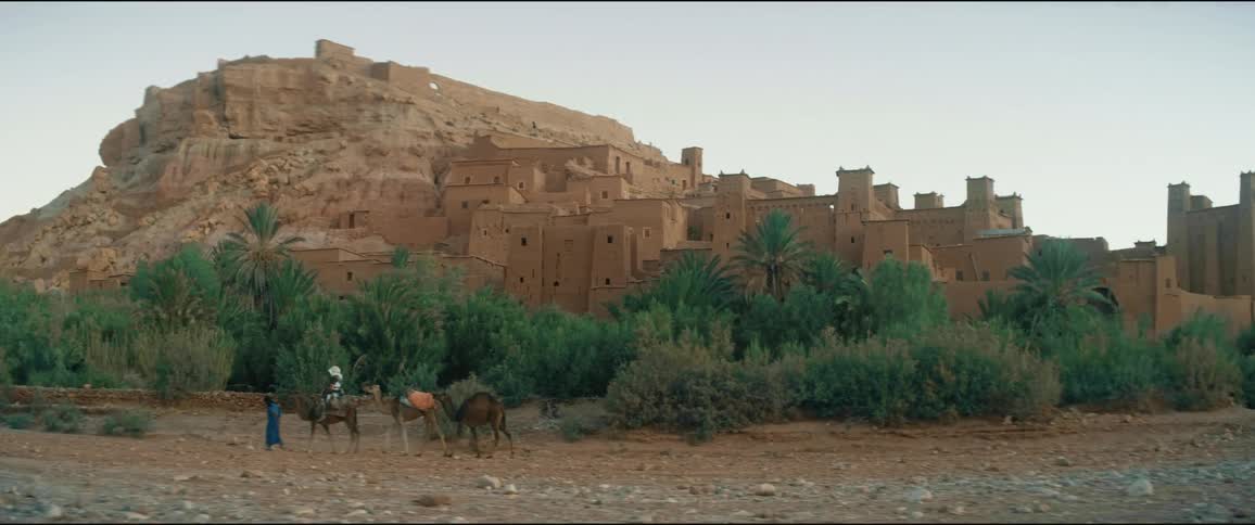 People ride on camels in the desert