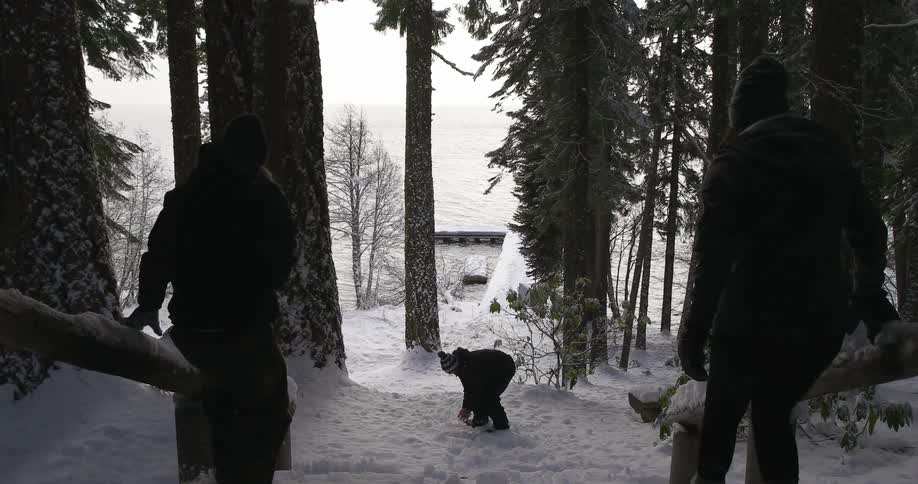 People are having a snowball fight