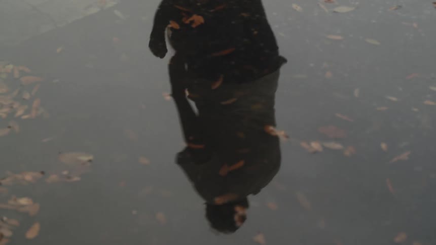 Water reflects couple dancing outdoors