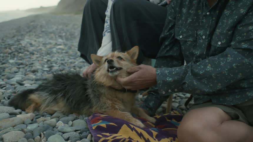 Man and woman are outdoors and petting a dog