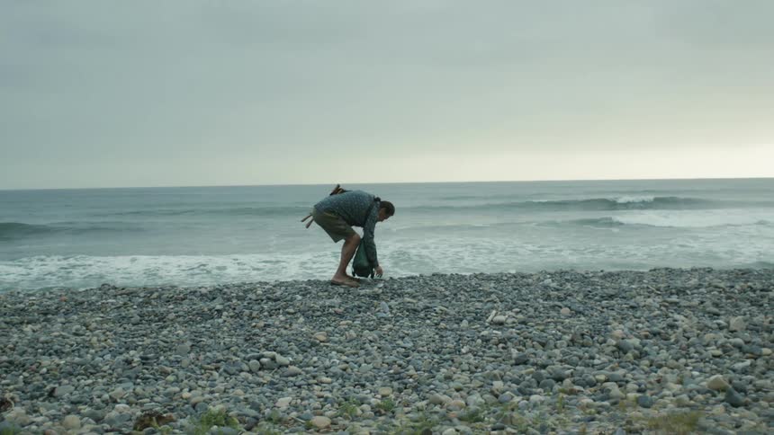 A man collects seashells on the beach
