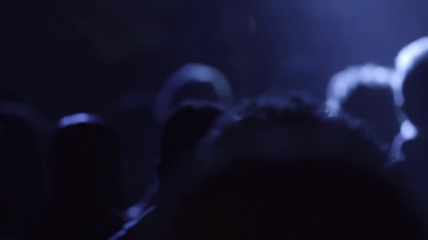 Crowd At Concert