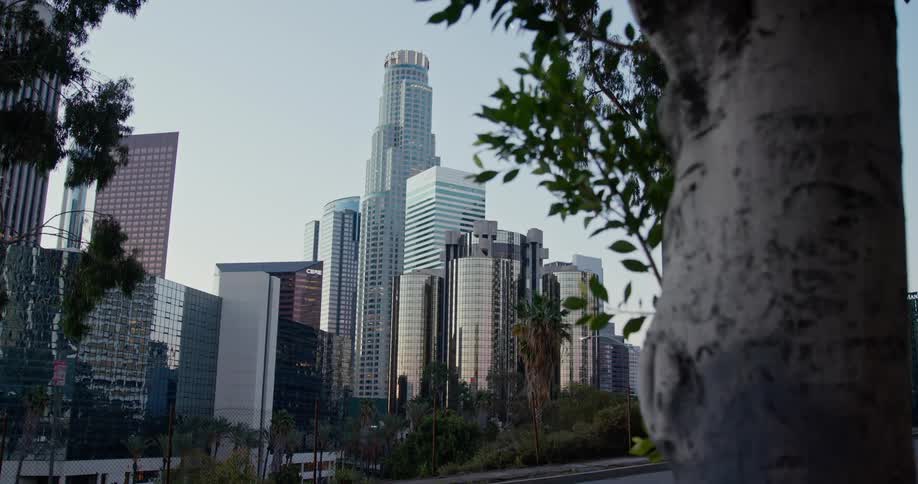Skyscrapers with reflective windows loom over downtown