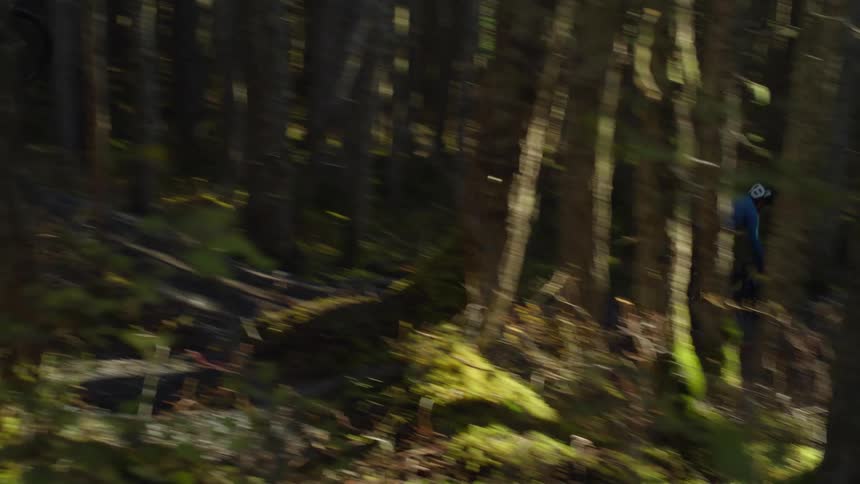 A pair of cyclists briefly go airborne while cycling quickly through a woodland during the day