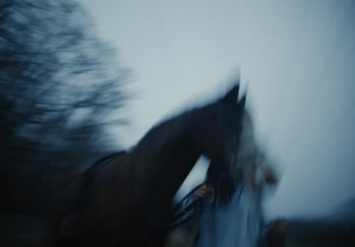 A young woman is trying to control a rearing horse