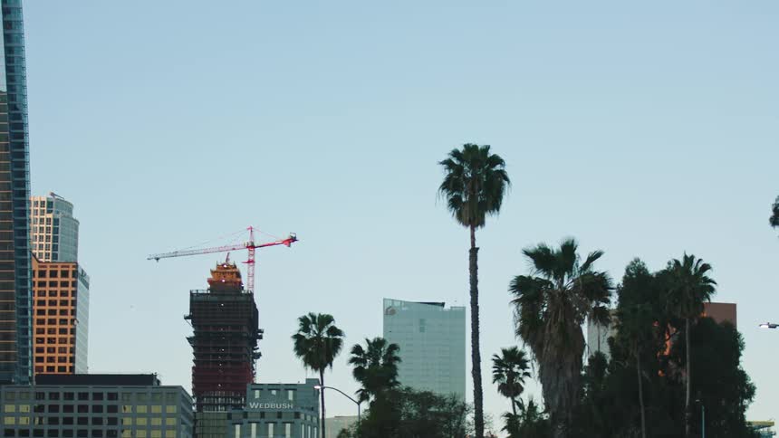 View of palm trees crane and exterior view of office buildings in the city