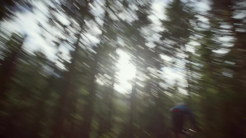 Two people ride mountain bikes along forest path on sunny day and take a jump
