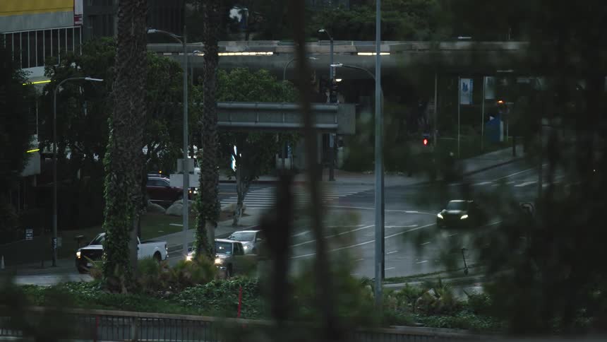Traffic moves through tree lined intersections in a city