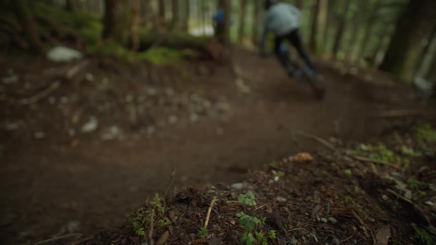 Two people are dirt biking through a forest