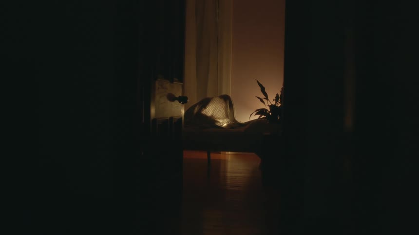 A person is under the covers in the bedroom