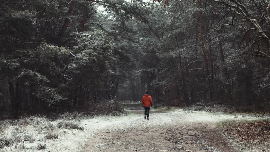 A man wearing a red coat is walking on a path through a forest as snow falls