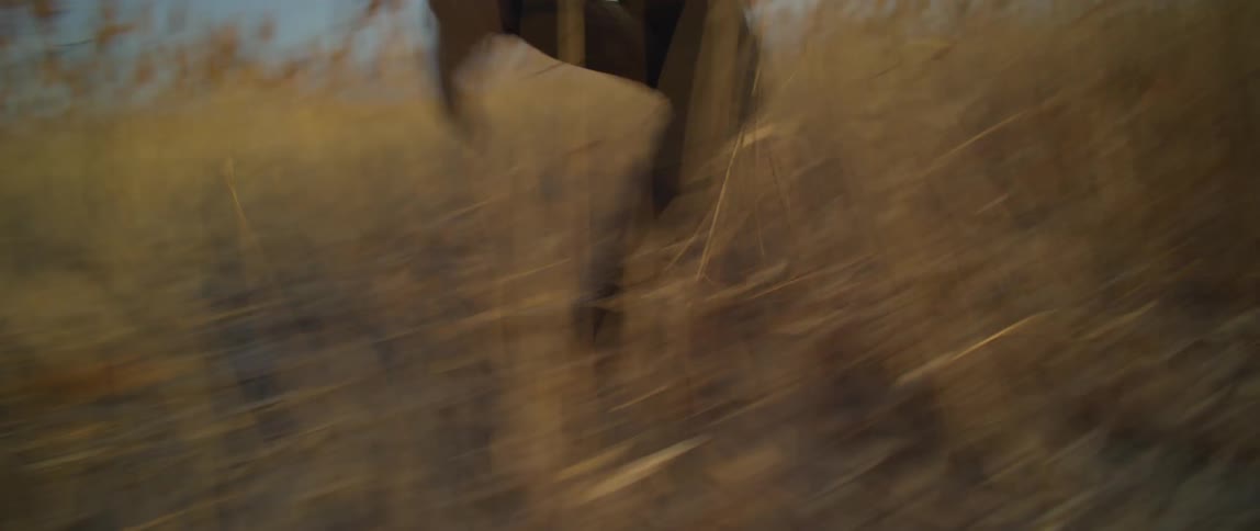 A person runs through a field