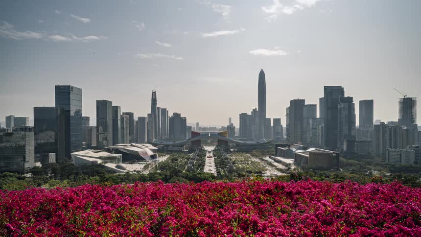 A row of rose bushes sit along a ledge with views of downtown
