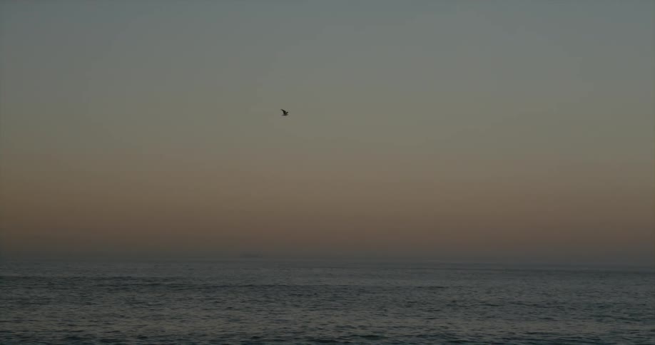 A seagull is flying over the ocean as the waves roll in