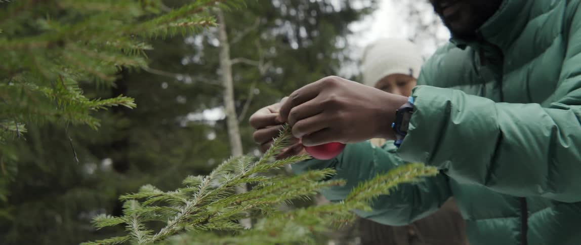 A man and woman hang christmas ornaments on a tree in the woods