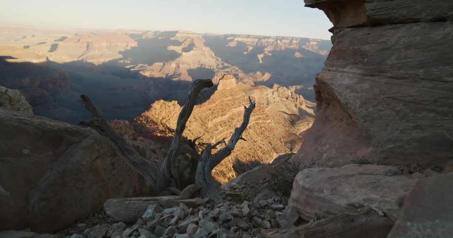 Small dead tree sits at start of slope with misty canyon in background