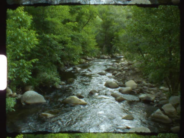 River water flowsbetween rock strewn banks in forest