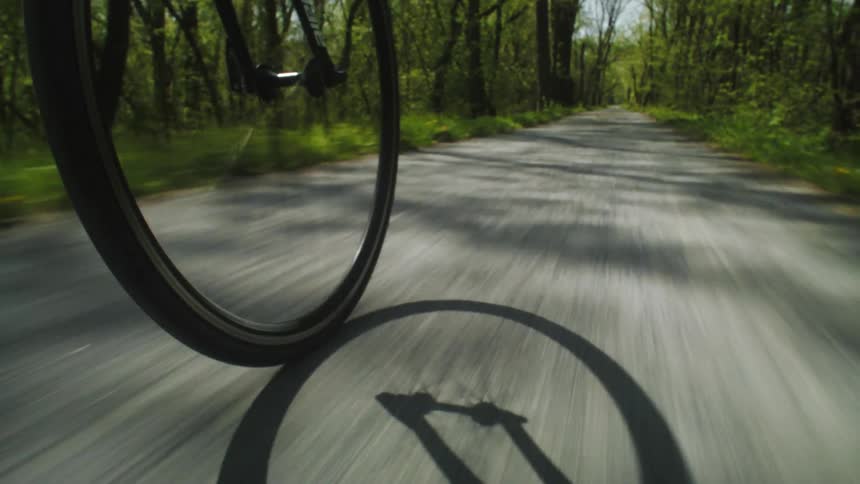 Cyclist pedals bicycle along path through forest