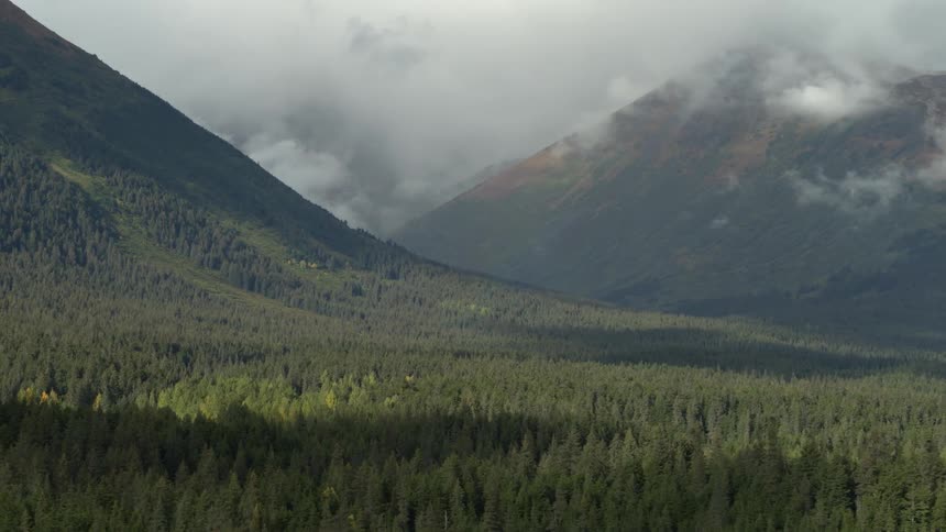 Thick forest covers a valley between two mountains